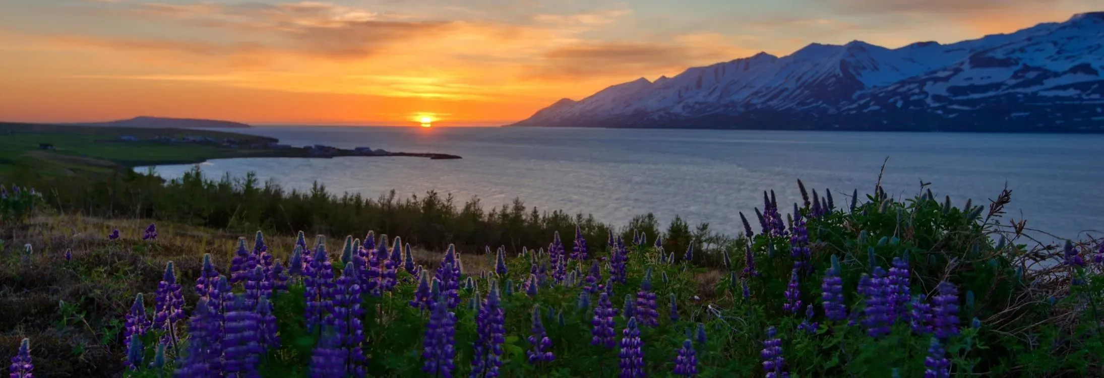 5 Places On Earth Where Sun Never Sets | Midnight Sun - Musafir