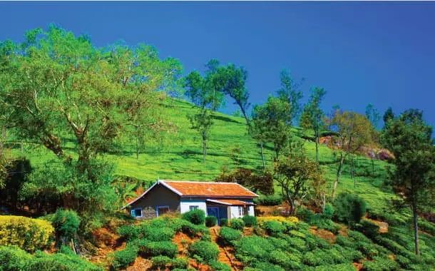 Coonoor