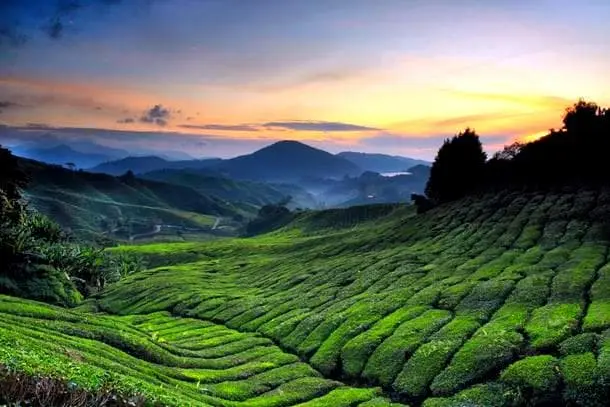Coorg