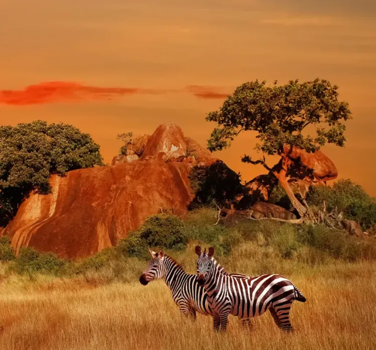 Kenya — visa destination