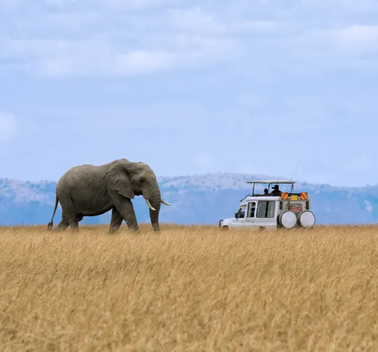 Tanzania, United Republic Of — visa destination