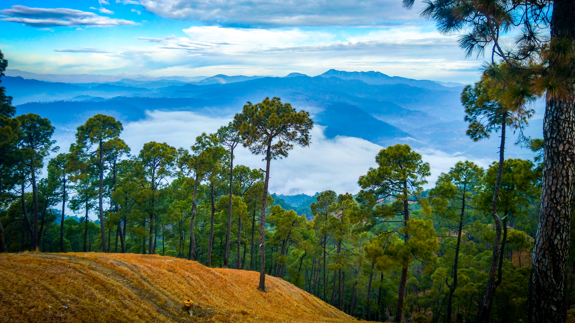 Ranikhet